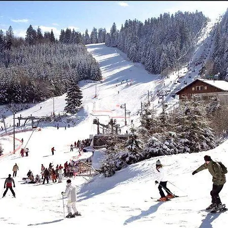 Au Chalet Des Oiseaux Migrateurs Gerardmer Exterior photo