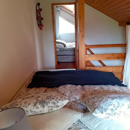 Au Chalet Des Oiseaux Migrateurs Gerardmer Exterior photo