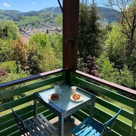 Au Chalet Des Oiseaux Migrateurs Gerardmer Exterior photo