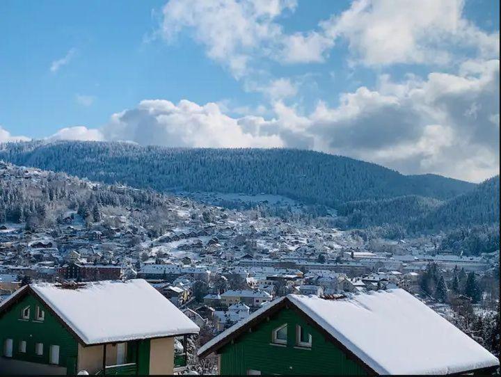 Apartment Au Des Oiseaux Migrateurs Gerardmer