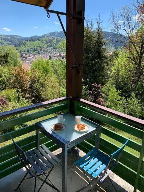 Au Des Oiseaux Migrateurs Apartment Gerardmer