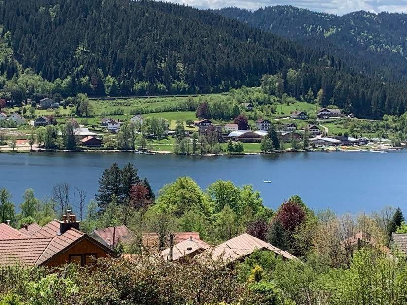 Apartment Au Des Oiseaux Migrateurs Gerardmer