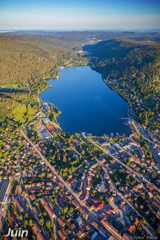Apartment Au Des Oiseaux Migrateurs Gerardmer